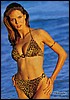 heidi36.jpg